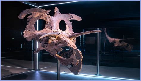 Unveiling Paul Sidoti's Net Worth: Discoveries And Insights